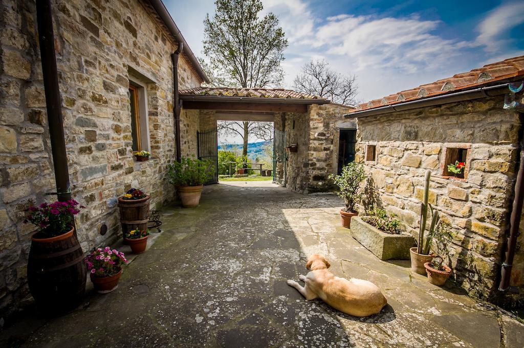 Agriturismo Podere Il Palagio Villa Fiesole Exterior photo